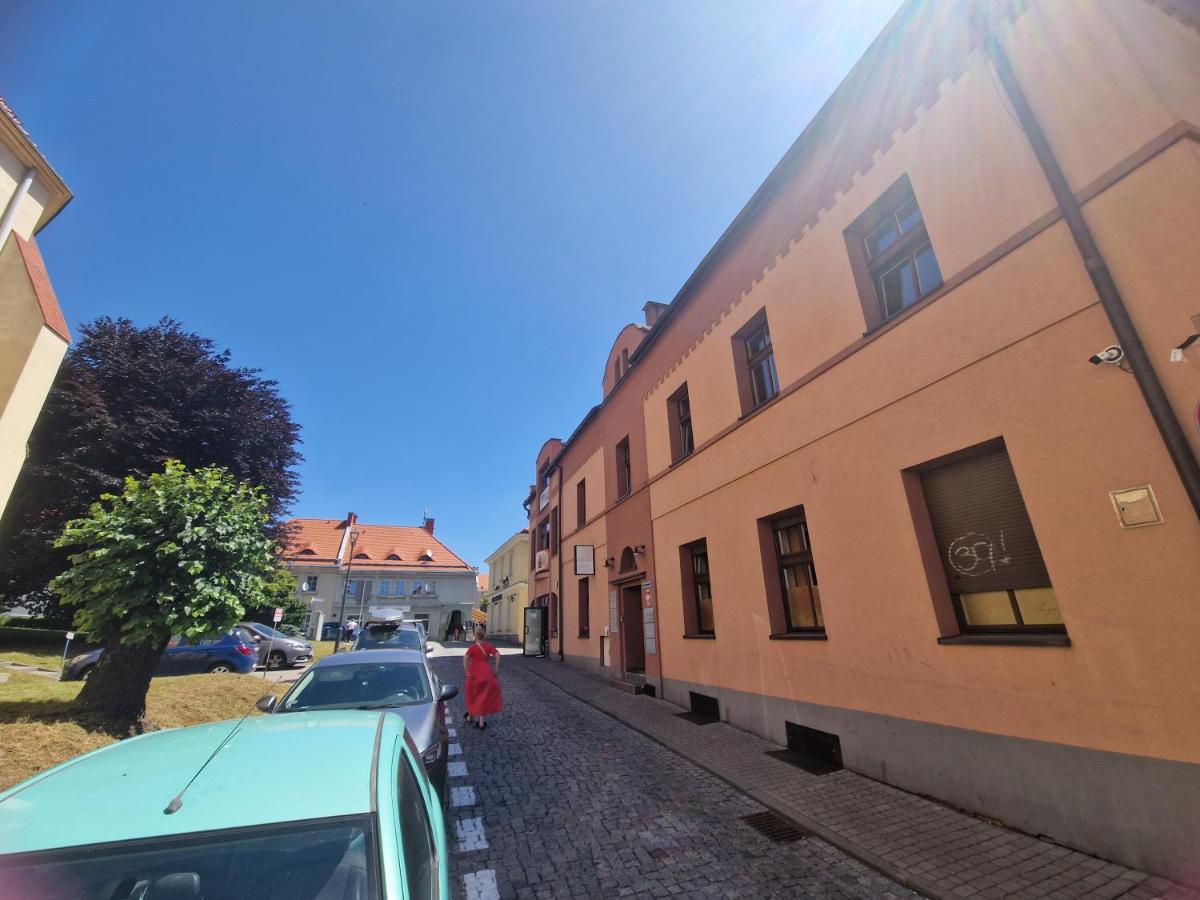 Apartament Wodzisław Śląski Blisko granicy - B&B