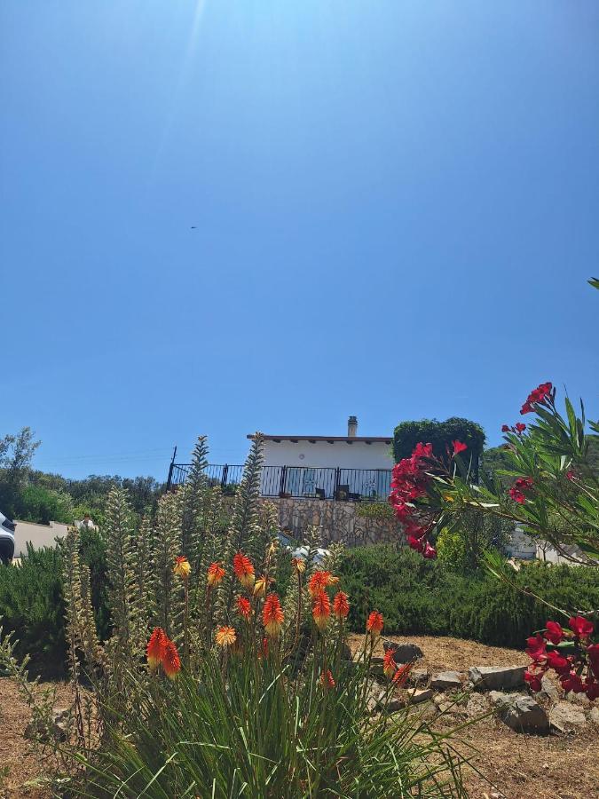 Apartman Alemka - B&B