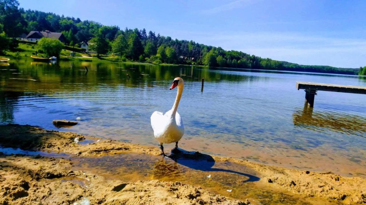 Domek uroczy i wilcza chatka,klimat górski na Kaszubach,balia,sauna,ognisko