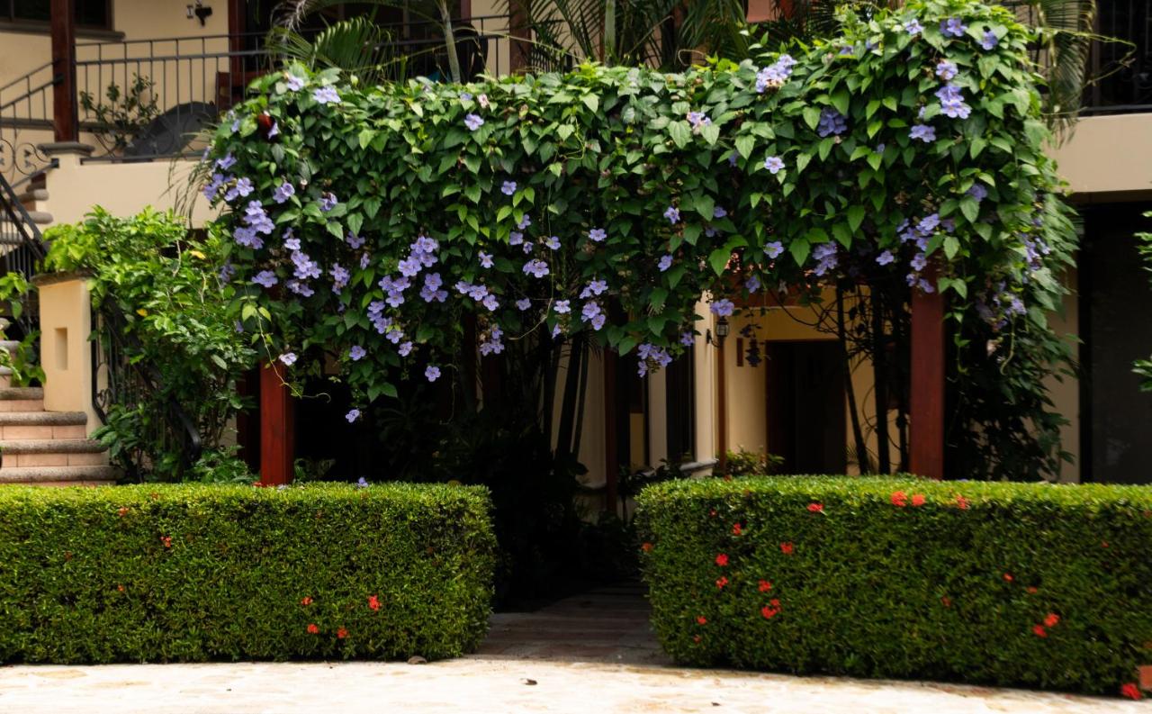 Tranquil 2BR 2BA Corteza Condo Gated Private Patio Pools Jacuzzi and BBQ Just 2 km from Beach and Downtown Jaco - B&B