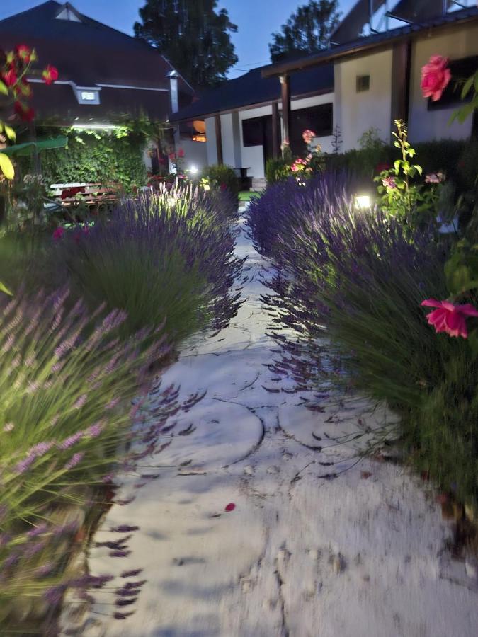 CASA MARIA - B&B Jupiter