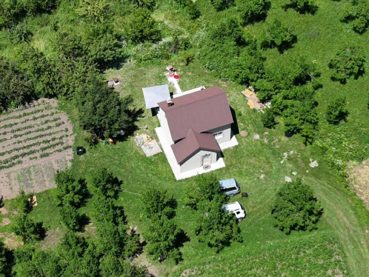 Forest Dream - B&B Šavnik