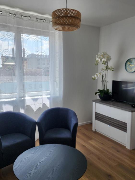 Appartement Fleur De Houblon - Ferienwohnung Schiltigheim