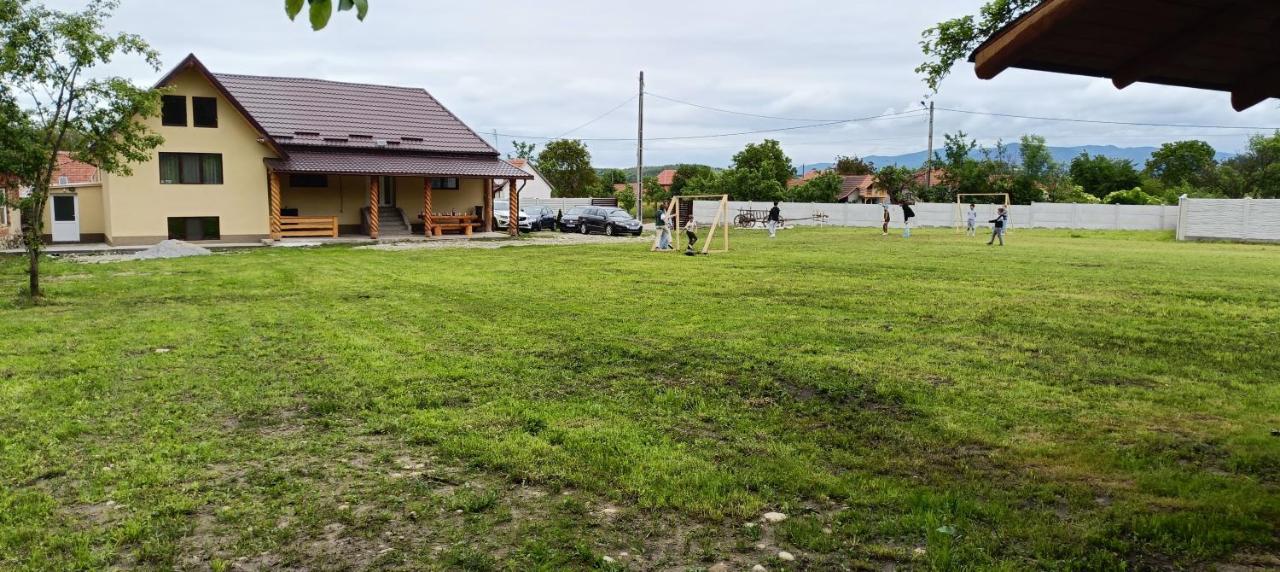 Cazare Valea Dinozaurilor - B&B