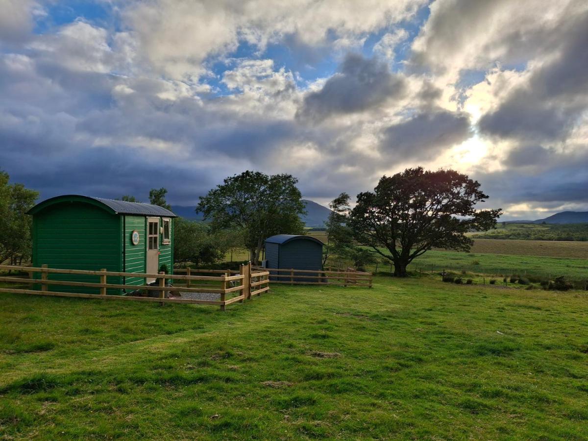 Wooly Huts Green - B&B