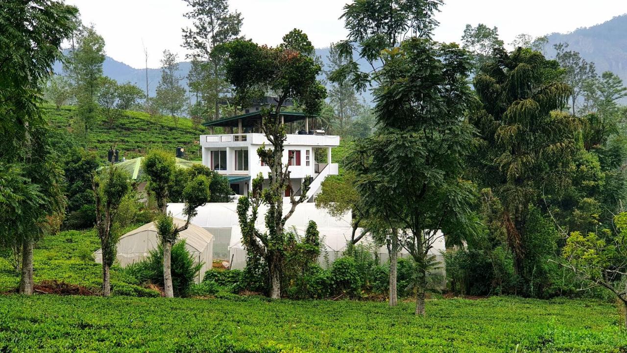 Tea sprig villa - B&B