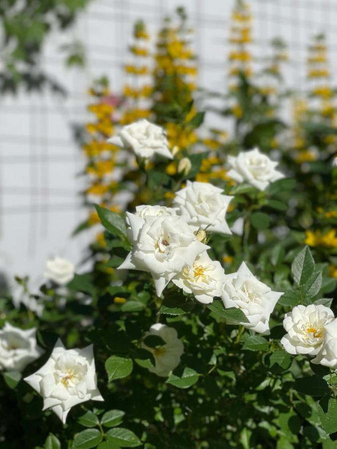 Familiekamer met Uitzicht op de Tuin.