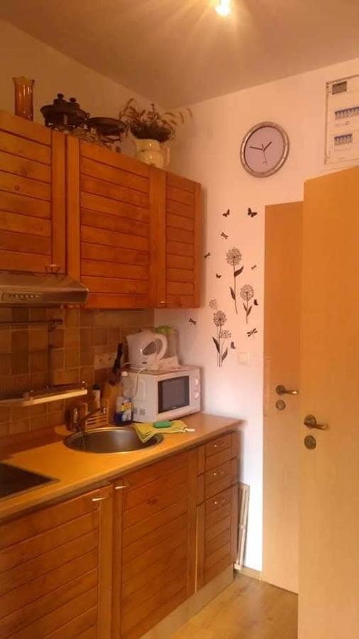 Apartmán Malinô Brdo Hrabovo Fatrapark 1 - Bed and Breakfast Ružomberok