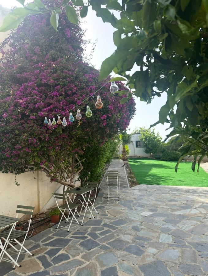 Hostl - Beds & Rooms - The Hostel Inn Paphos, Old Town