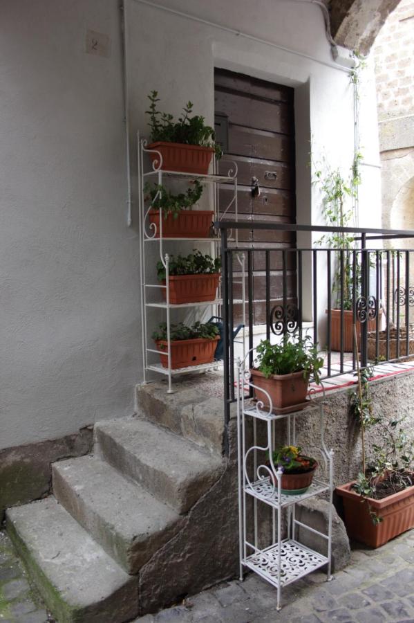 Il Gelsomino - Ferienwohnung Capranica