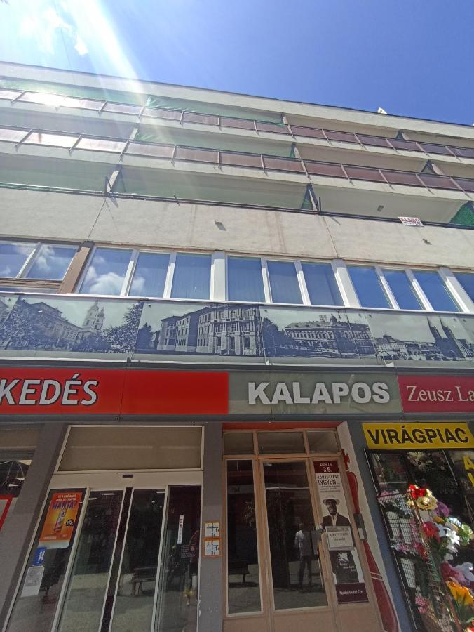 KRILI HOME apartman - B&B