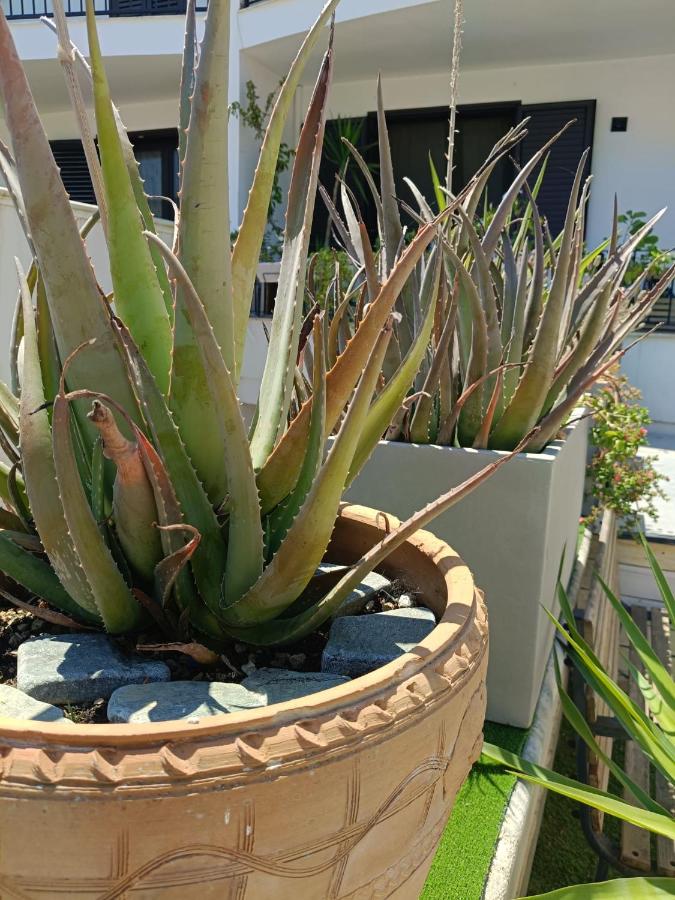 Rosa dei Venti Salento - B&B Veglie