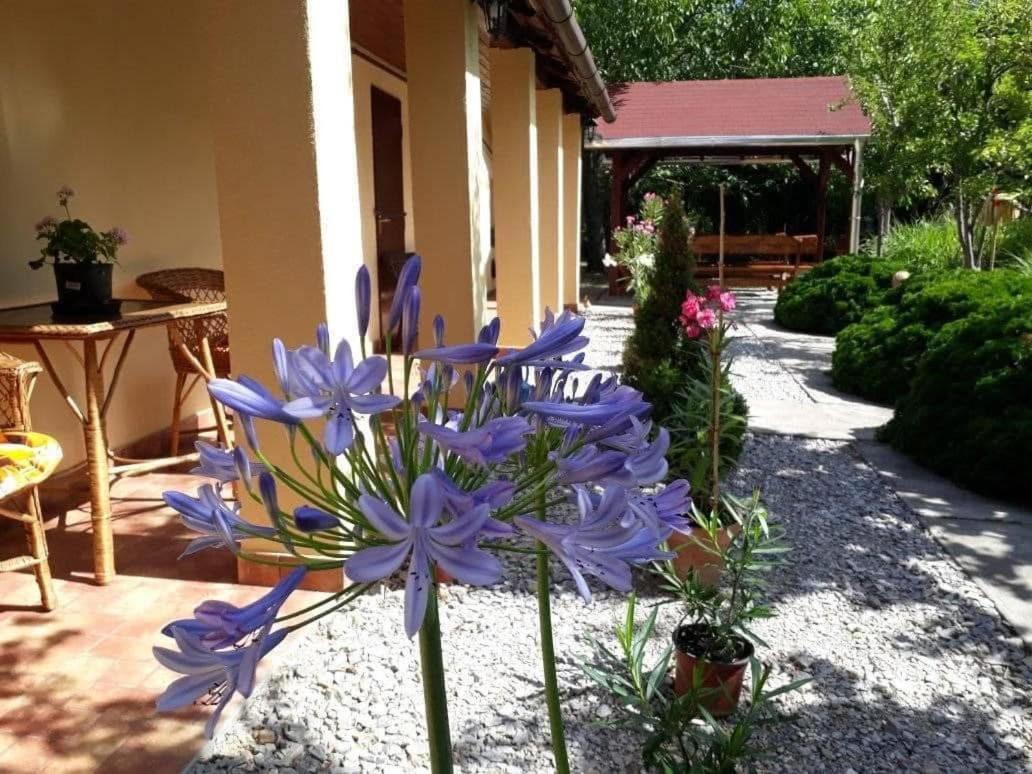 Aranyhal Vendégház - Ferienwohnung Poroszló