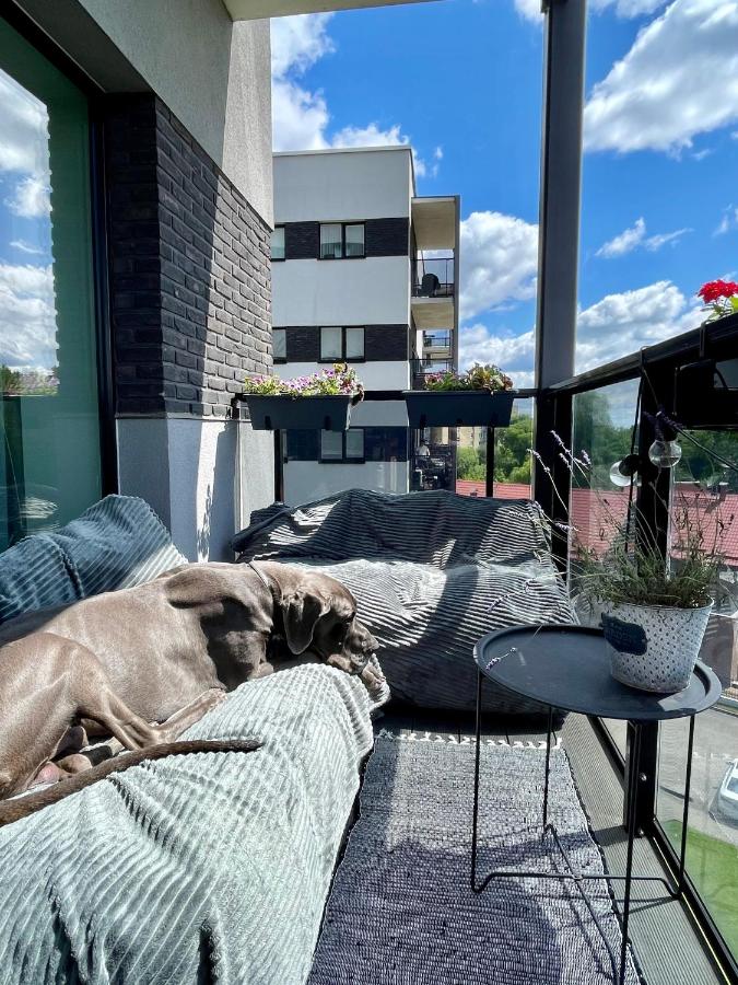 Cashmere apartment in Žaliakalnis - B&B Kaunas