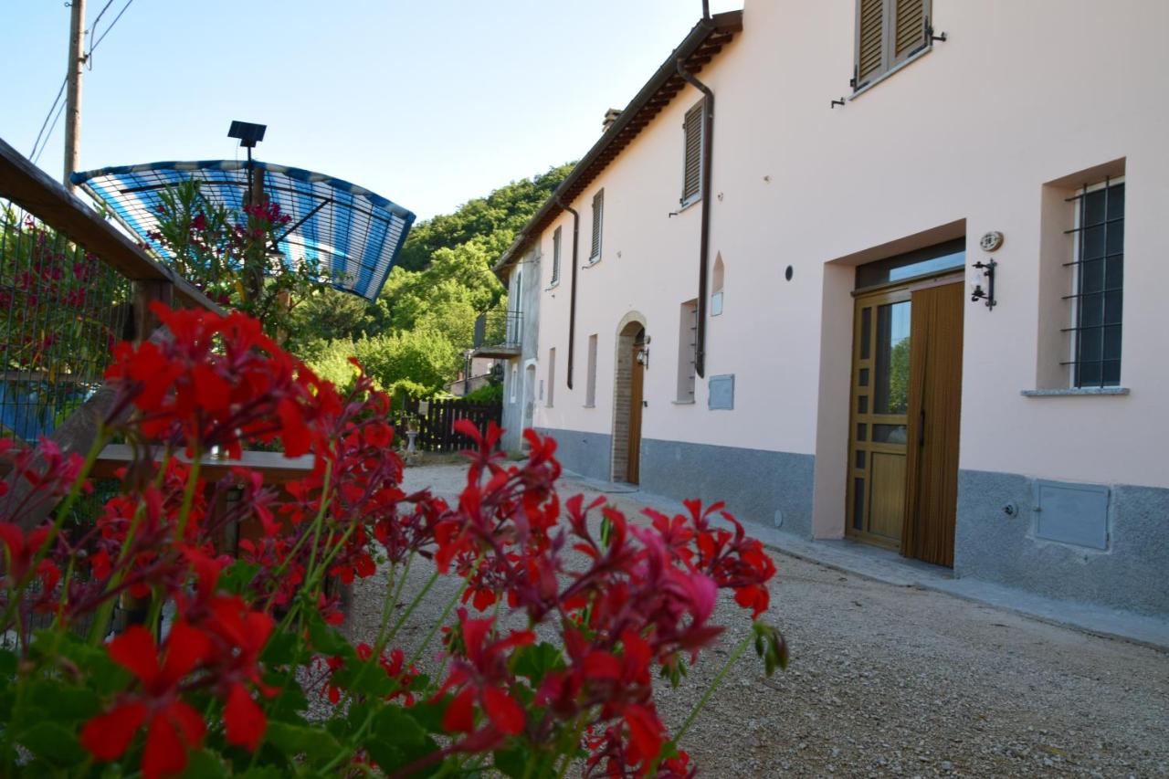 Casa Galoppa - B&B Trevi