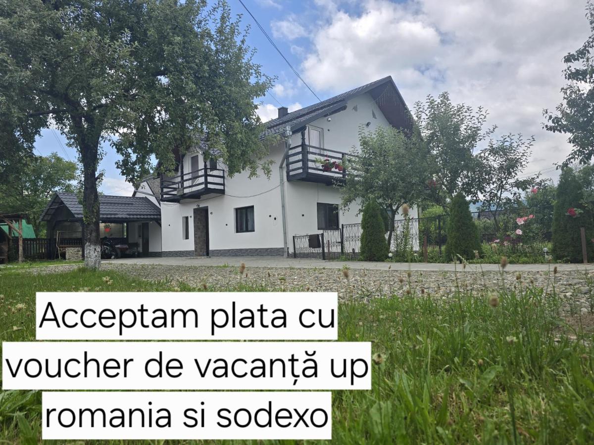 Casa Roxana - B&B Vișeu de Mijloc
