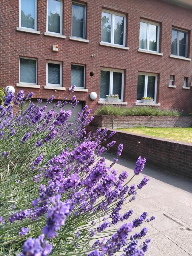 TML Parkview Apartment - B&B
