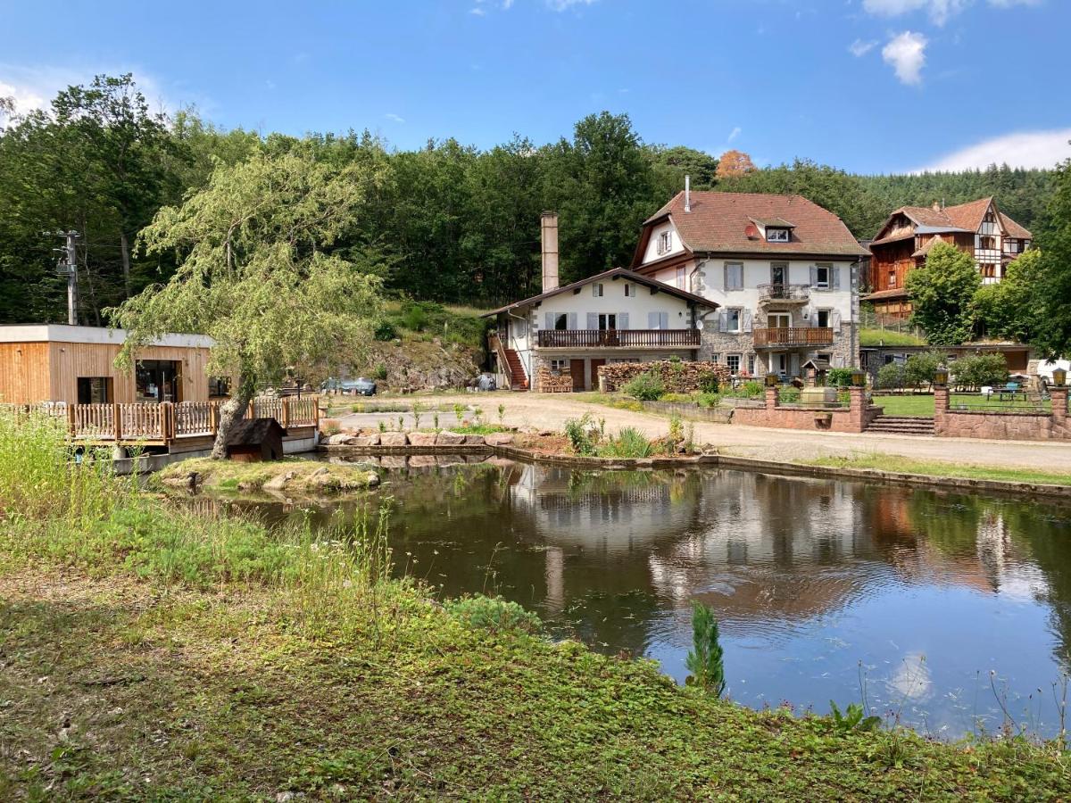 Aux Gîtes de l'Étang - Thannenkirch Bergheim - B&B