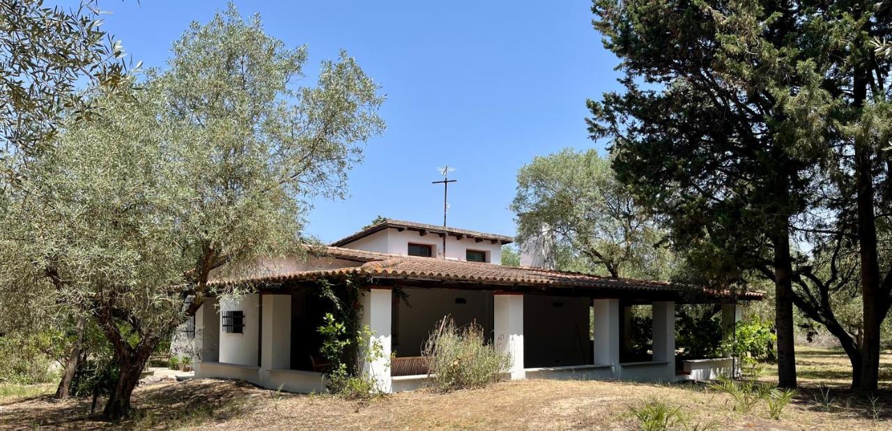 Villa Amedeo - B&B Donigala Fenugheddu