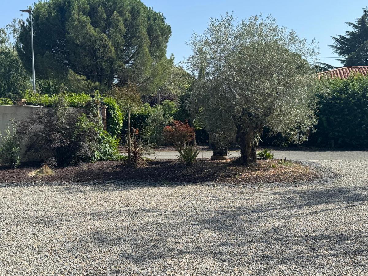 Studio proche Aéroport de Nantes - Bed and Breakfast Saint-Aignan-Grandlieu