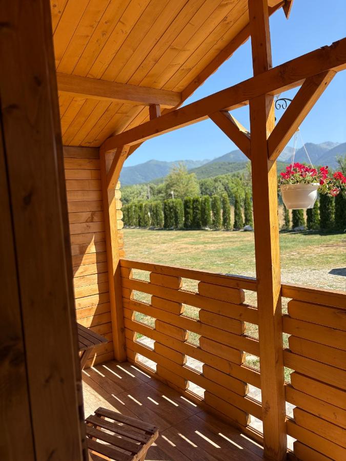 Casa Fericirii - B&B Cârţişoara