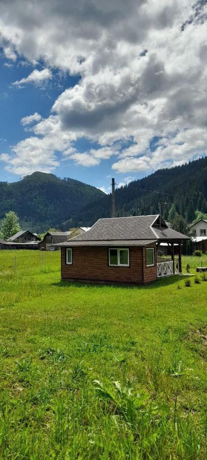 Гражда Лофт для двох в Карпатах - Ferienwohnung Kryvorivnia
