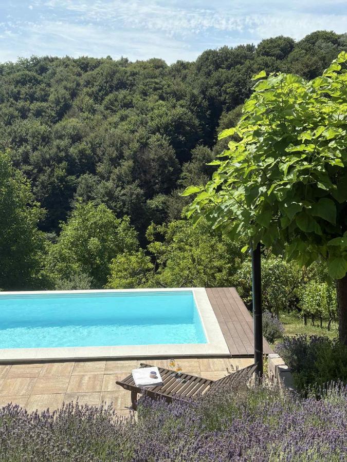 Apartma Lavanda - Chambres d’hôtes Zavrč