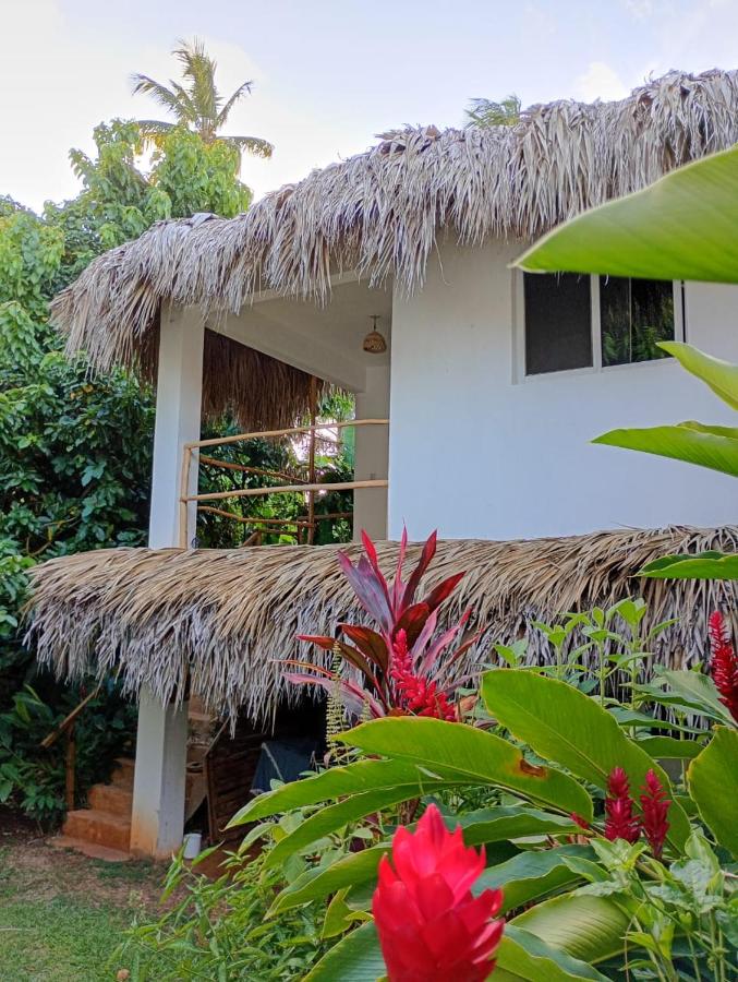 Quédate Aquí - B&B