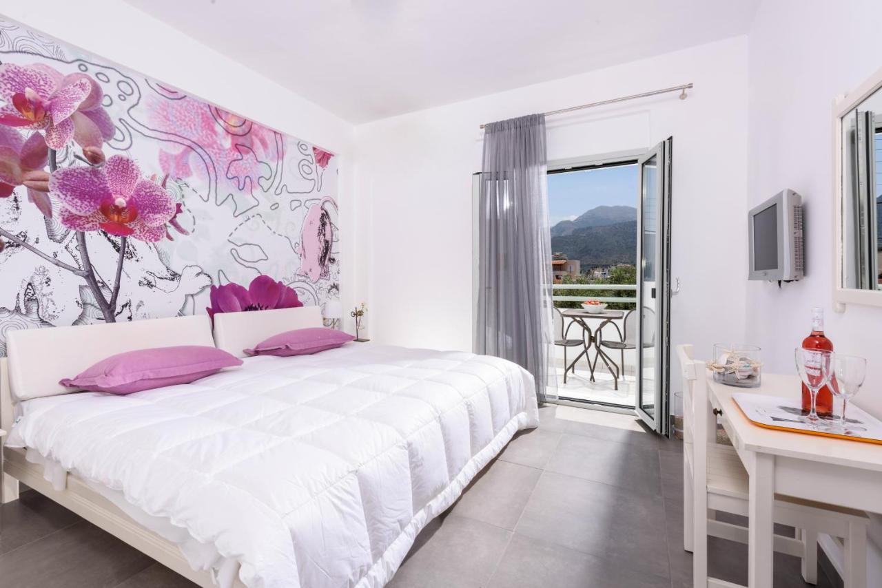 Appartement Supérieur 1 Chambre