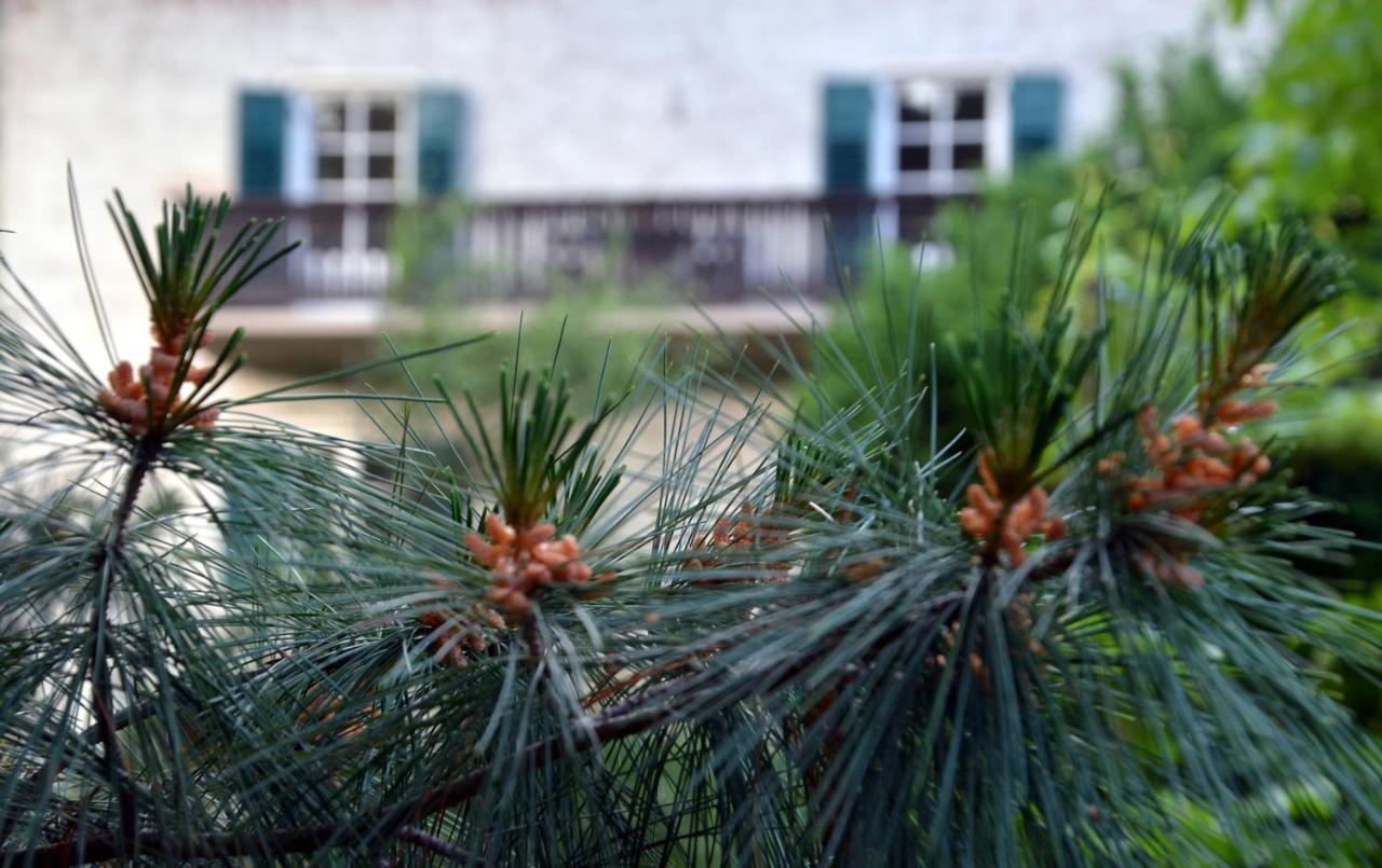 APARTMENT im garten 9 - B&B