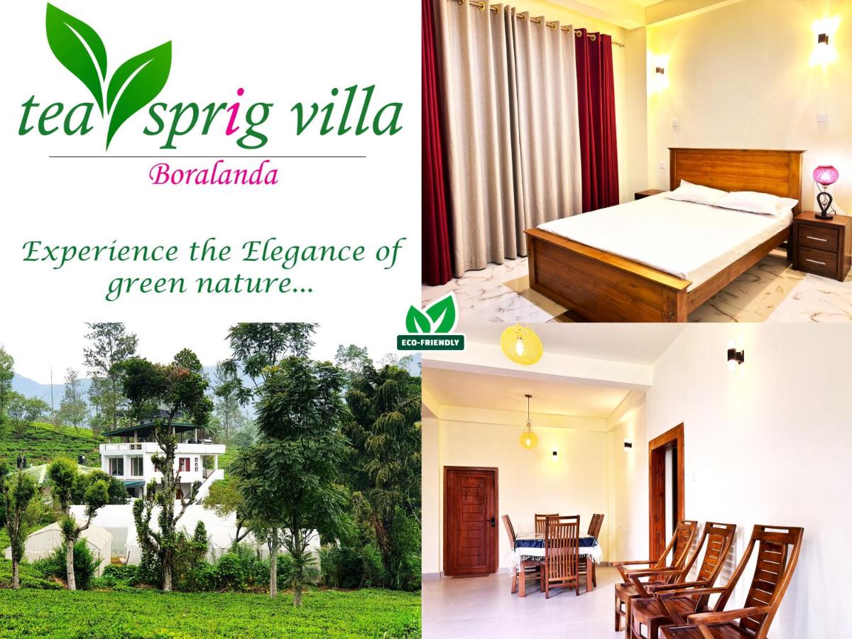 Tea sprig villa - B&B Boralanda