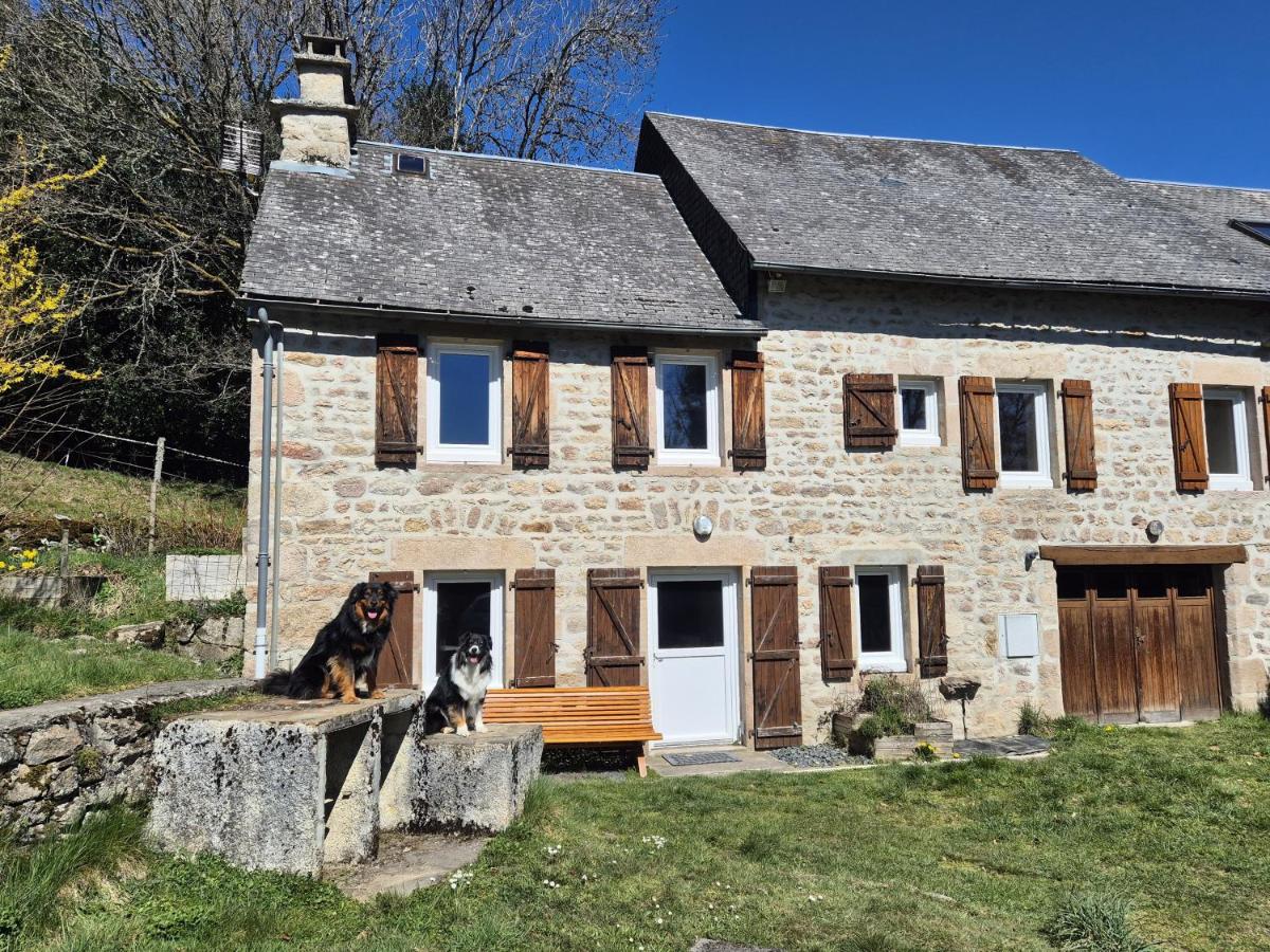 NESST - Gîte Horse & Dog Friendly Cottage - B&B