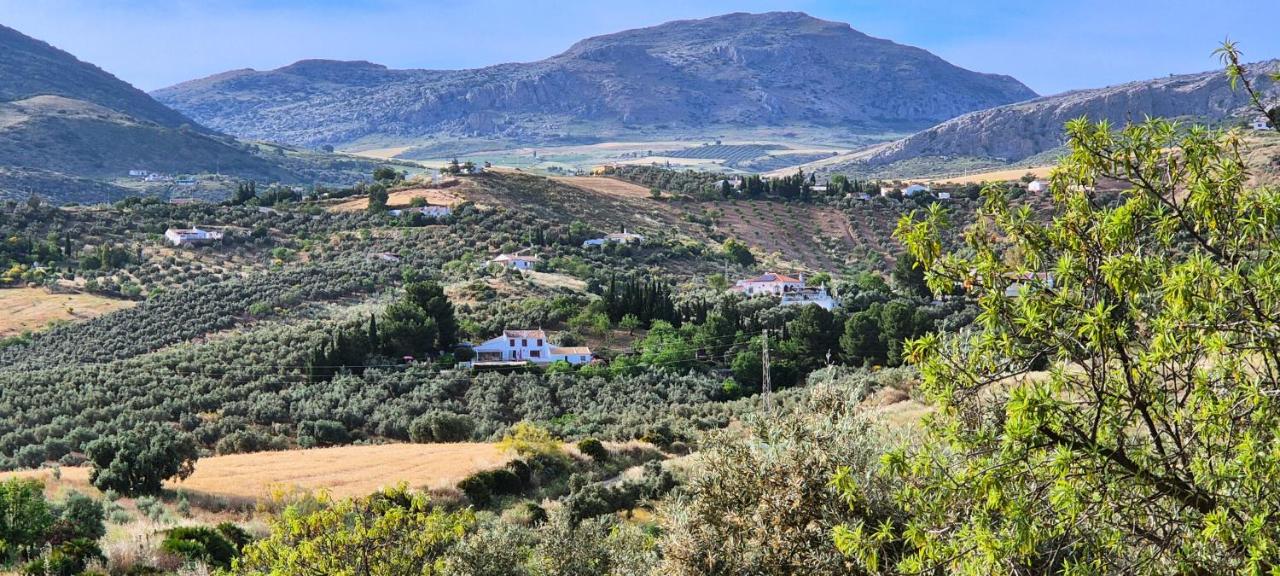 Finca Amorosa - B&B