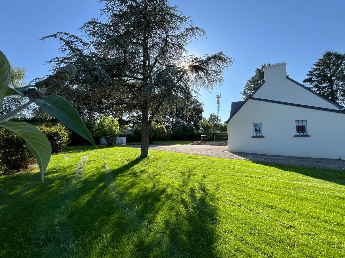 La maison de Louise - B&B
