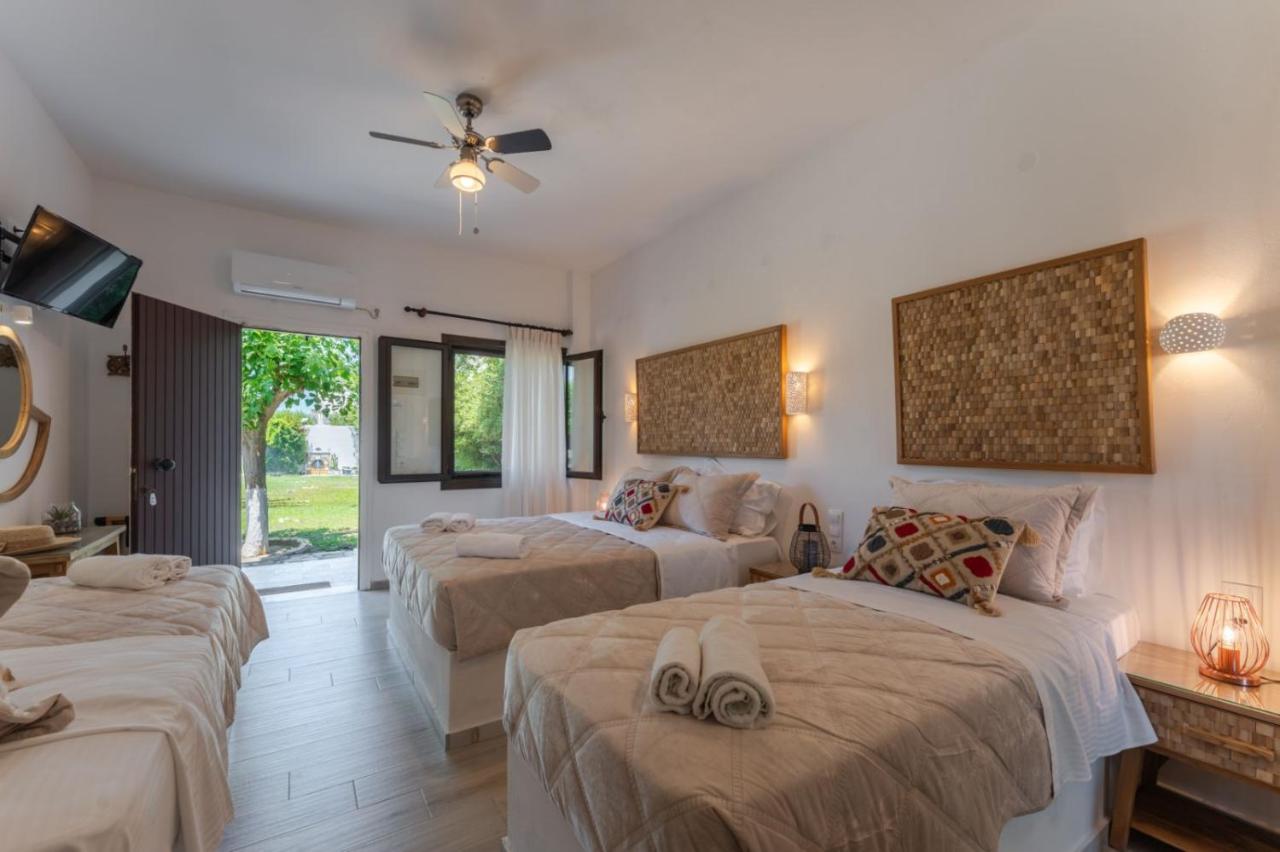 Appartement 1 Chambre