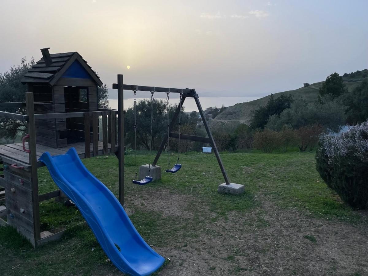 Jbela House - B&B Tabouda