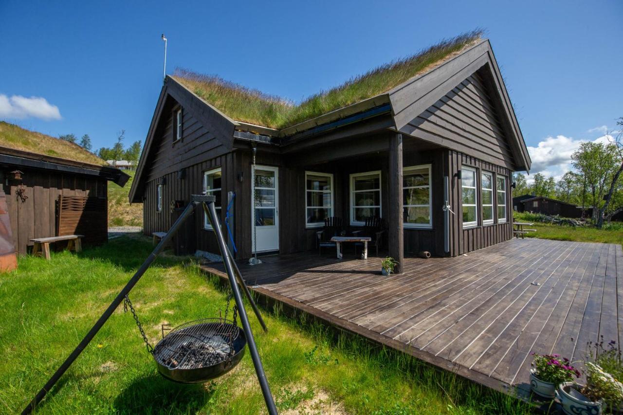 Vakker hytte med fantastisk utsikt - Ferienwohnung Geilo