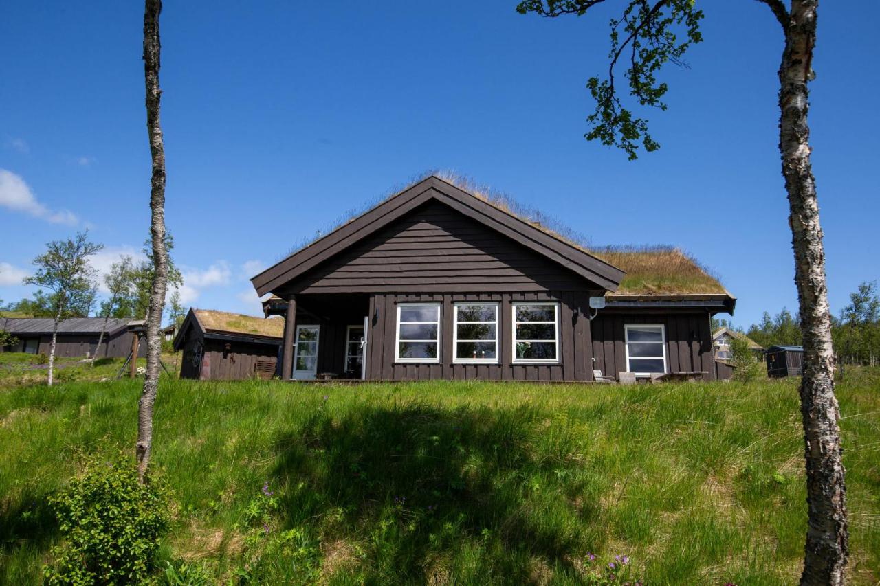 Vakker hytte med fantastisk utsikt - Bed and Breakfast Geilo