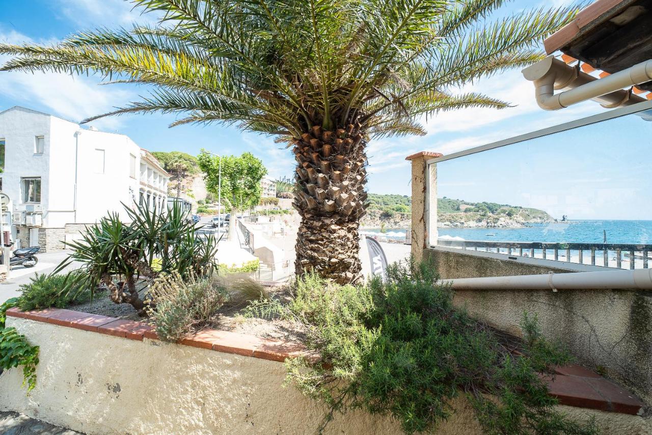 Sable entre les Orteils - Studio vue mer - B&B Banyuls de la Marenda