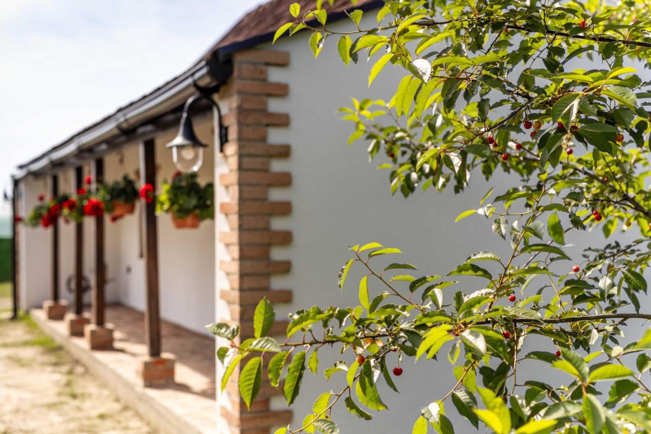 Ruralna kuća za odmor Bor Anya - B&B Vardarac