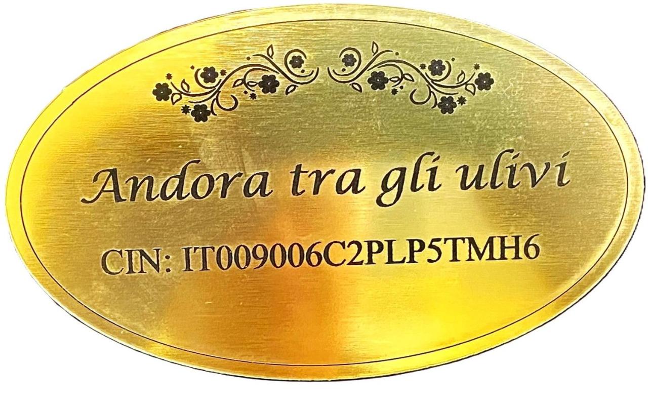 Appartamento Andora Tra gli ulivi - B&B Molino Nuovo