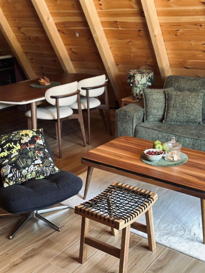 White Forest Durmitor 2 - B&B Žabljak
