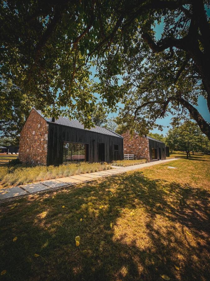 Mileva Koncept - B&B Grivac
