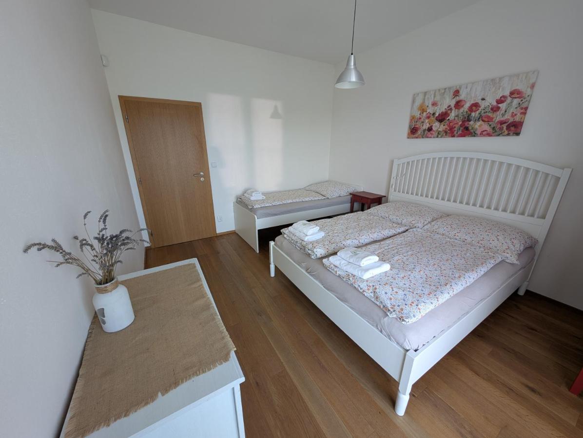 One-Bedroom Apartment with View