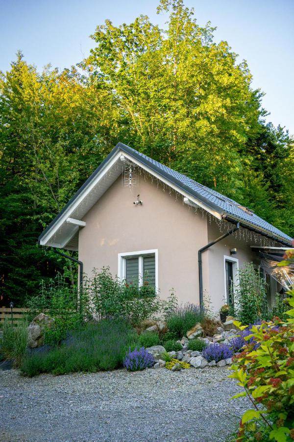 Domek Pierwiosnek Ustroń - cisza, las, balia i totalny relaks - Ucieknij od zgiełku i poczuj spokój natury - B&B