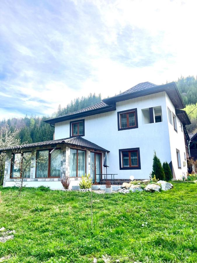 Casa Ovidiu - B&B