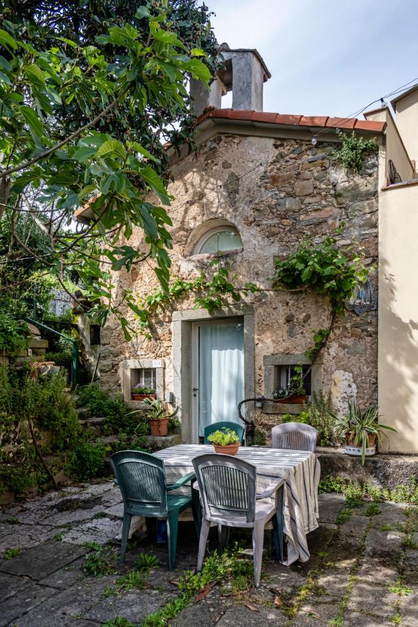 La Chiesina di Campiglia - B&B