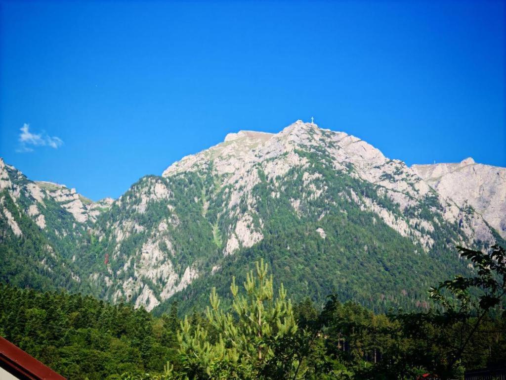 Vila Iulia Busteni - Ferienwohnung Buşteni