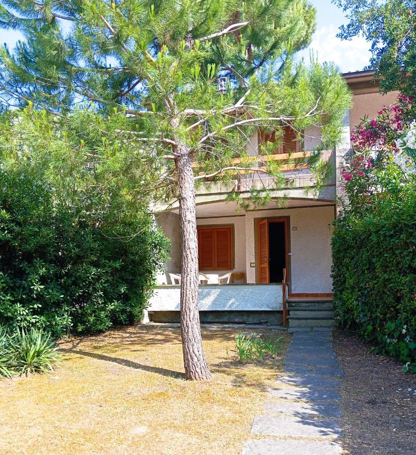 Appartamento Ostrica - B&B
