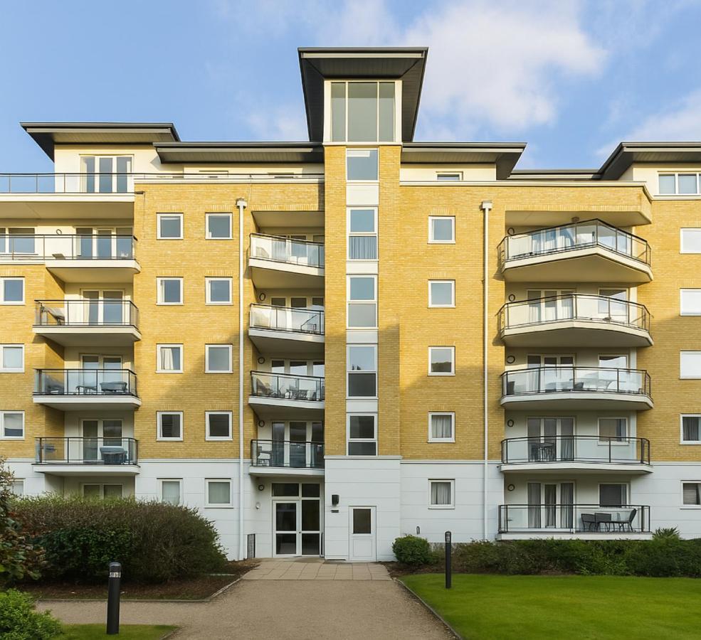 Wonderful Flat in Wandsworth Town - B&B